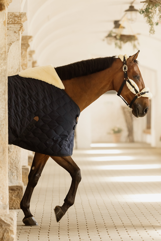 Stable Rug Comfort 100g