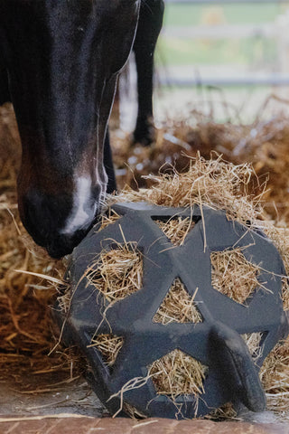 Relax Play&Hay Boll