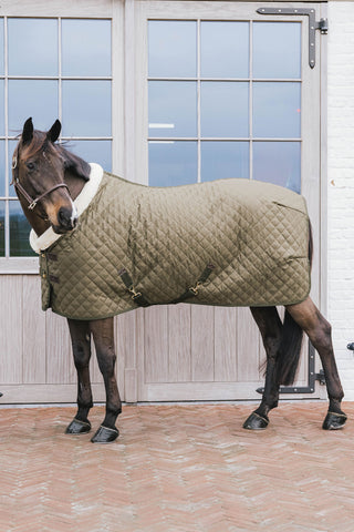 Show Rug 160g