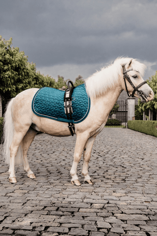 Kentucky Horsewear Schabrak Velvet Ponny