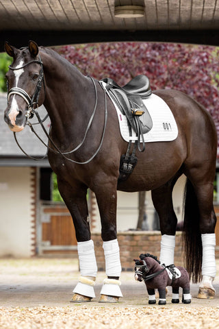 Toy Pony Valegro