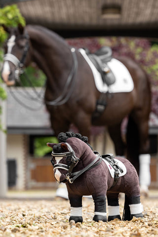 Toy Pony Kandarträns