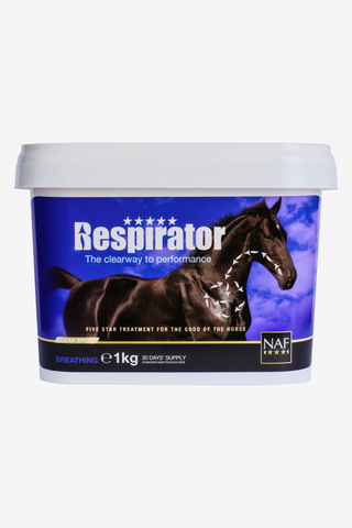 Respirator Pulver